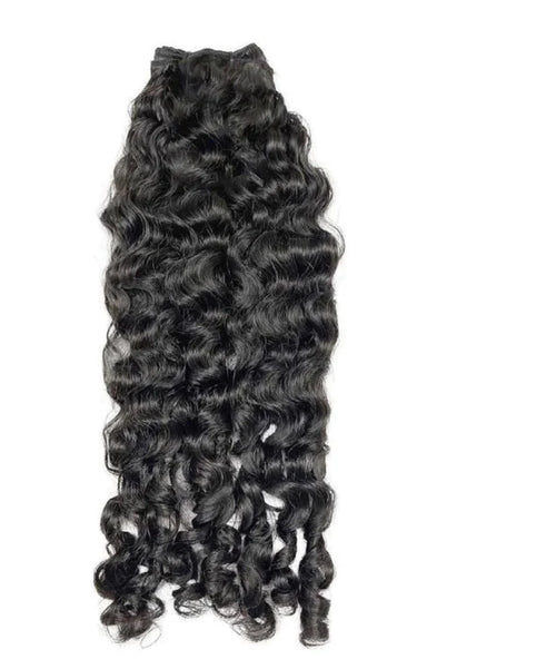 Burmese Curly